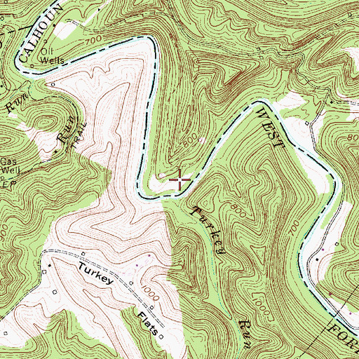 Topographic Map of Turkey Run, WV