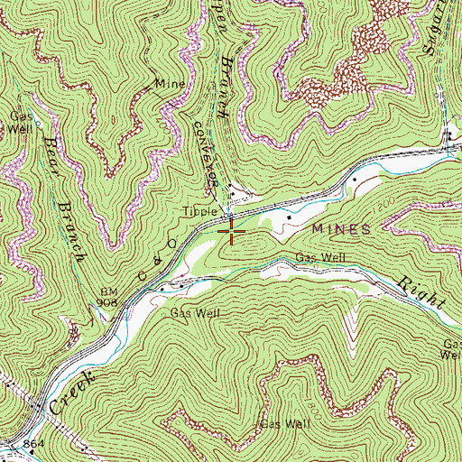 Topographic Map of Turkeypen Branch, WV
