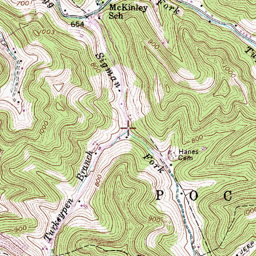 Topographic Map of Turkeypen Branch, WV
