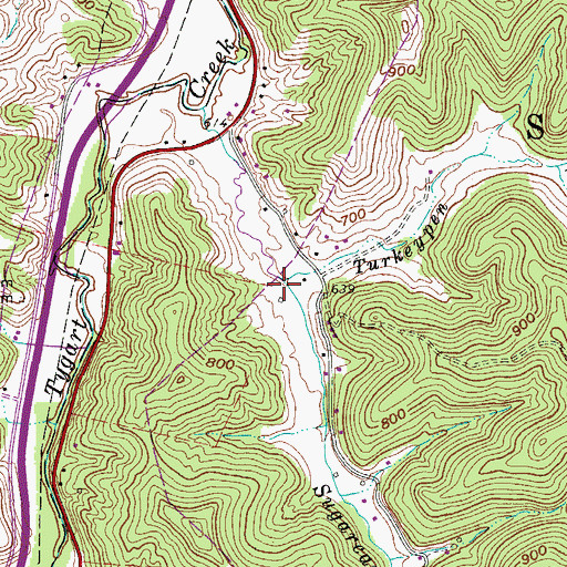Topographic Map of Turkeypen Run, WV