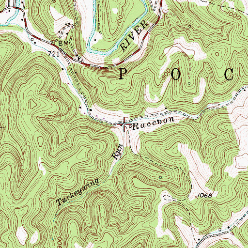 Topographic Map of Turkeywing Run, WV
