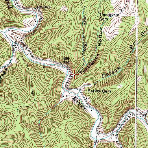 Topographic Map of Turtlelick Hollow, WV