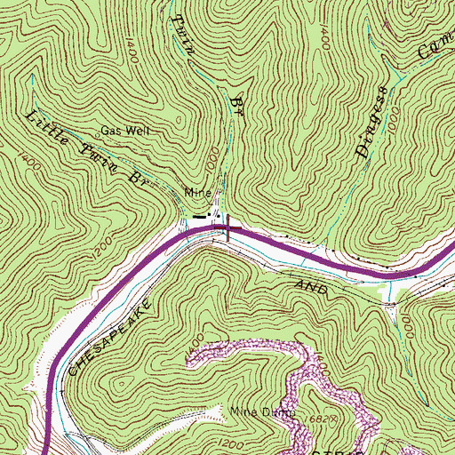 Topographic Map of Twin Branch, WV