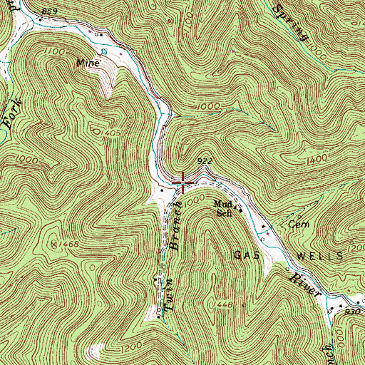 Topographic Map of Twin Branch, WV