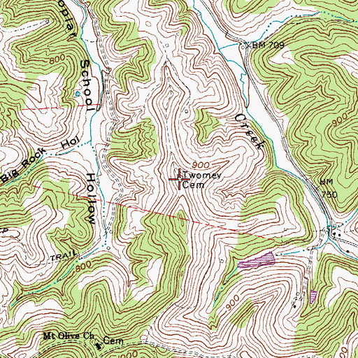 Topographic Map of Twomey Cemetery, WV