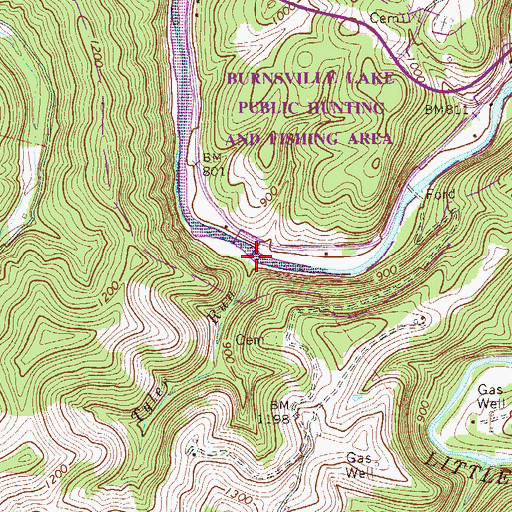 Topographic Map of Tyler Run, WV