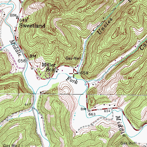 Topographic Map of Uncles Branch, WV