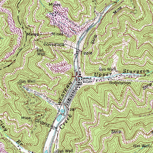 Topographic Map of Upper Sturgeon Branch, WV