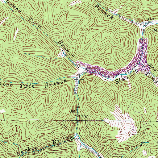 Topographic Map of Upper Twin Branch, WV