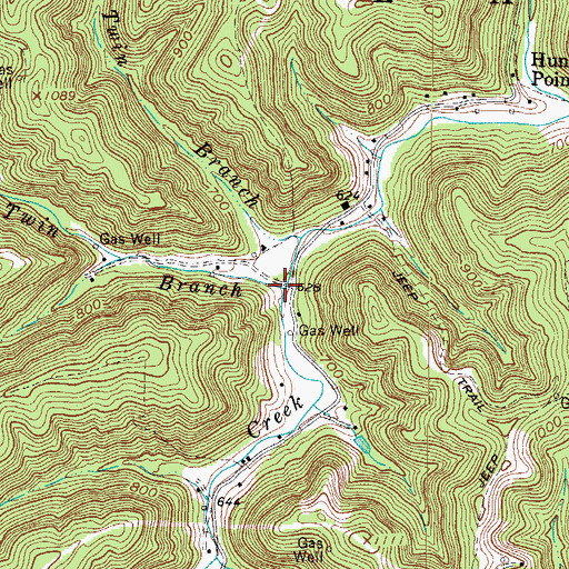 Topographic Map of Upper Twin Branch, WV
