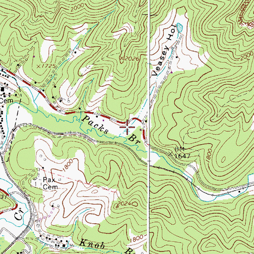 Topographic Map of Veasey Hollow, WV