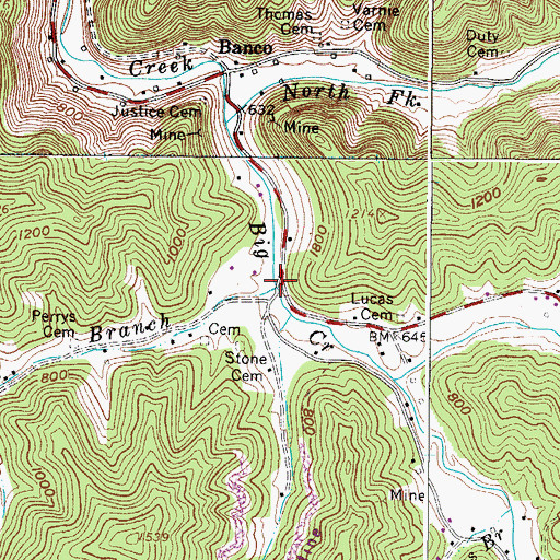 Topographic Map of Vickers Branch, WV
