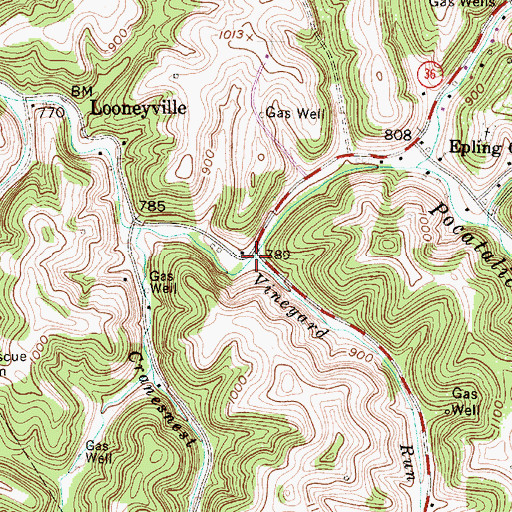 Topographic Map of Vineyard Run, WV