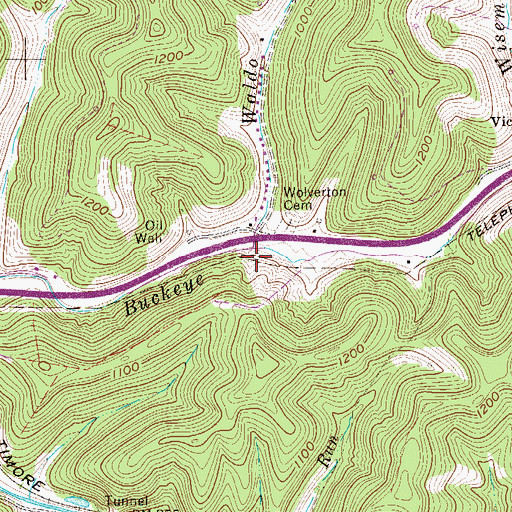 Topographic Map of Waldo Run, WV