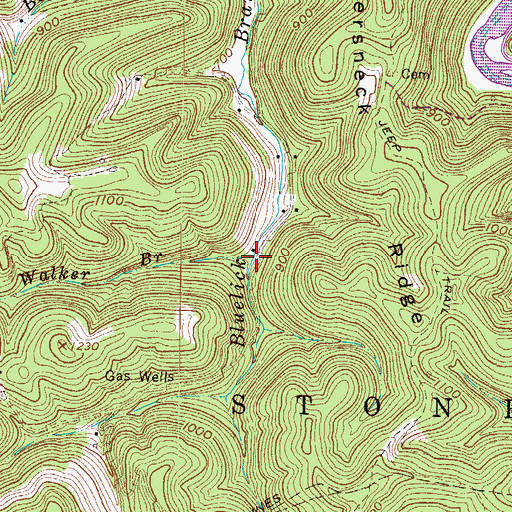 Topographic Map of Walker Branch, WV