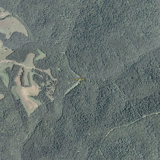 Aerial/Satellite Image of Walker Fork, WV