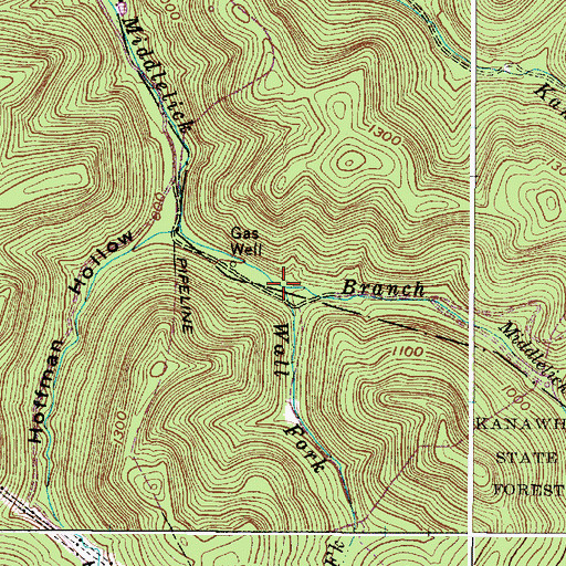 Topographic Map of Wall Fork, WV
