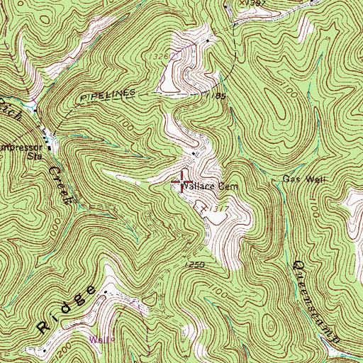 Topographic Map of Wallace Cemetery, WV