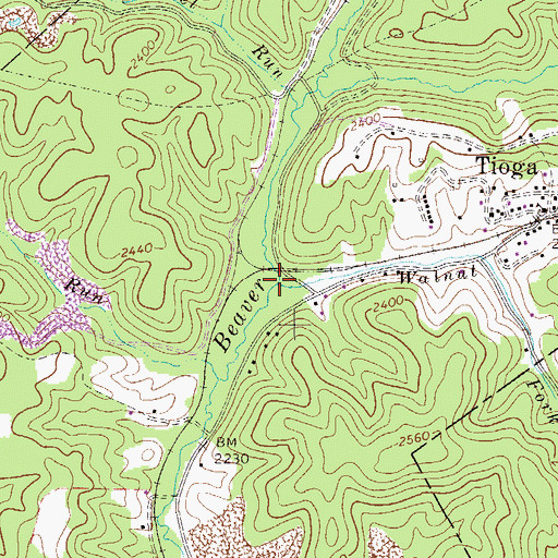Topographic Map of Walnut Fork, WV