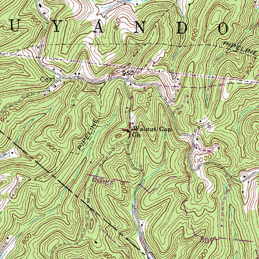 Topographic Map of Walnut Gap Church, WV