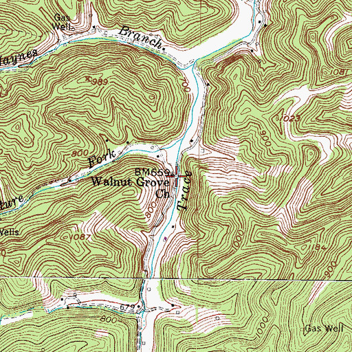 Topographic Map of Walnut Grove Church, WV