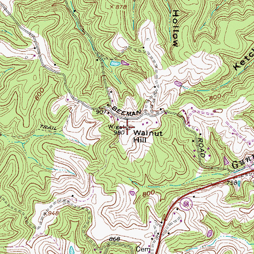 Topographic Map of Walnut Hill, WV