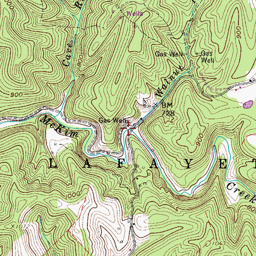 Topographic Map of Walnut Run, WV