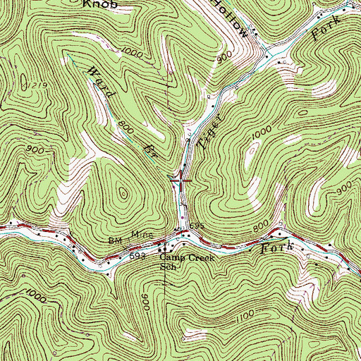 Topographic Map of Ward Branch, WV