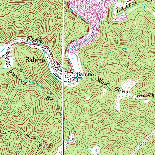 Topographic Map of Watt Oliver Branch, WV