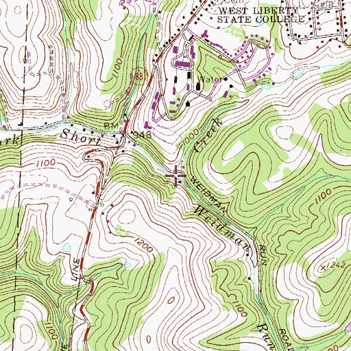 Topographic Map of Weidman Run, WV