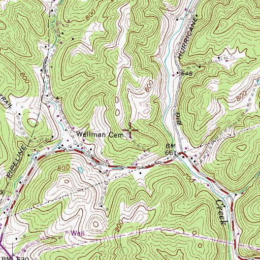 Topographic Map of Wellman Cemetery, WV