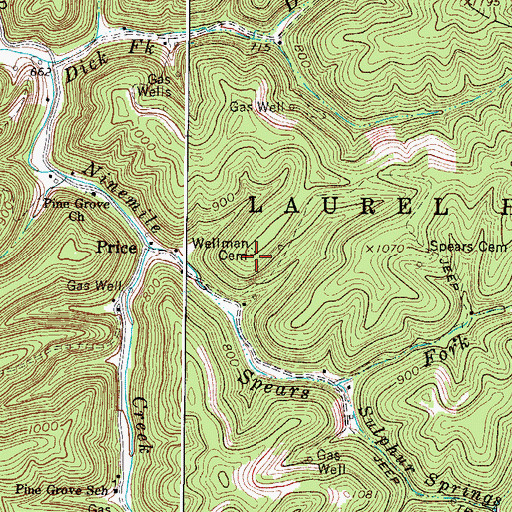 Topographic Map of Wellman Cemetery, WV