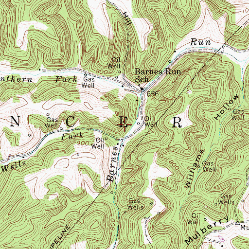 Topographic Map of Wells Fork, WV