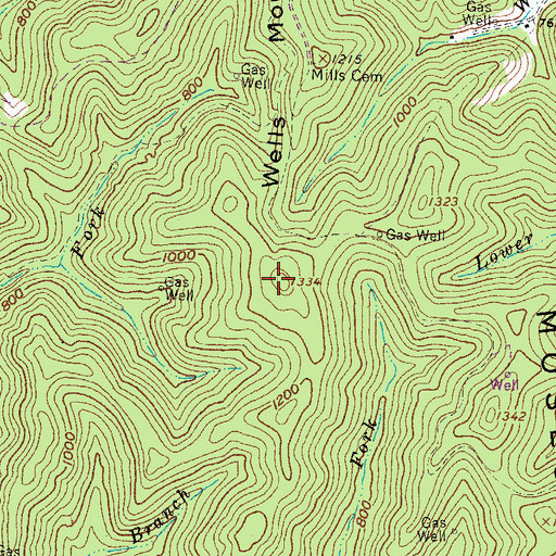 Topographic Map of Wells Mountain, WV