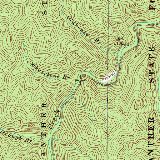 Topographic Map of Whetstone Branch, WV