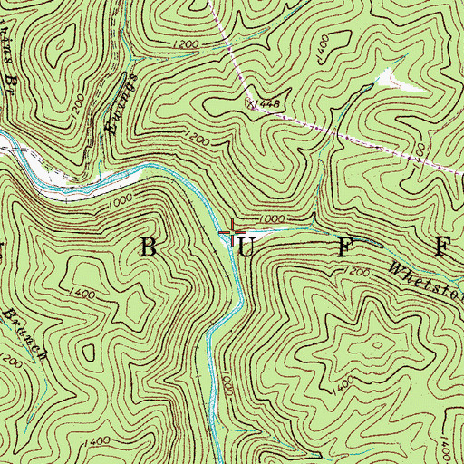Topographic Map of Whetstone Creek, WV