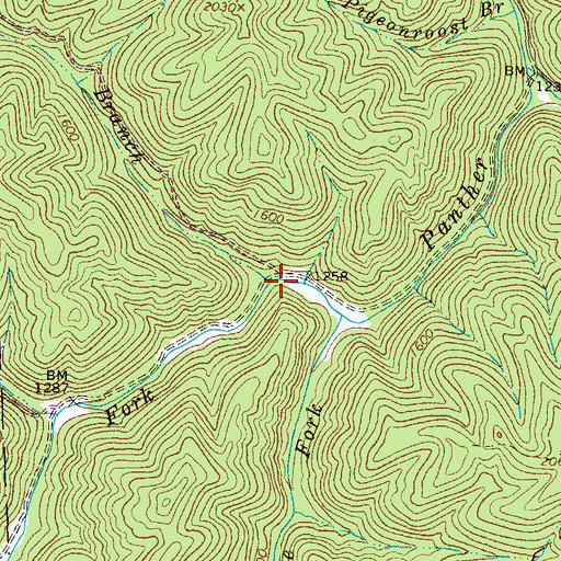 Topographic Map of White Oak Branch, WV