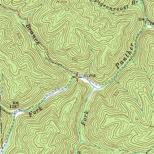 Topographic Map of White Oak Branch, WV