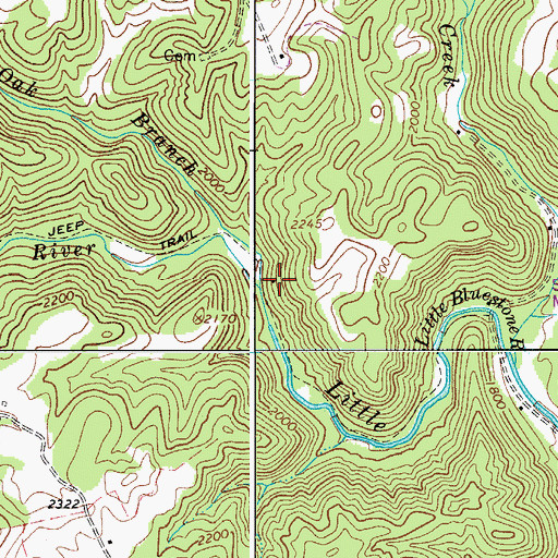 Topographic Map of White Oak Branch, WV