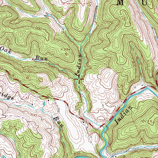 Topographic Map of White Oak Run, WV
