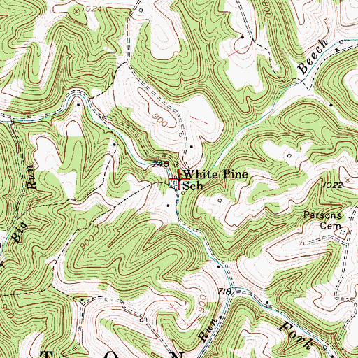 Topographic Map of White Pine School (historical), WV