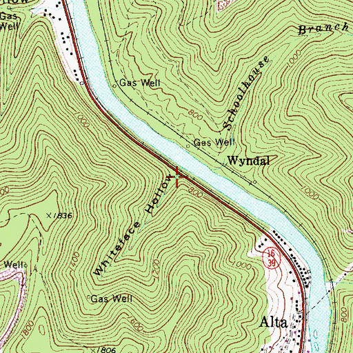 Topographic Map of Whiteface Hollow, WV