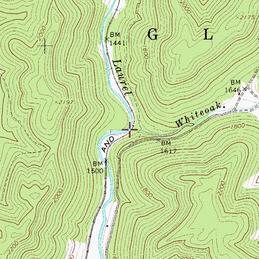 Topographic Map of Whiteoak Run, WV