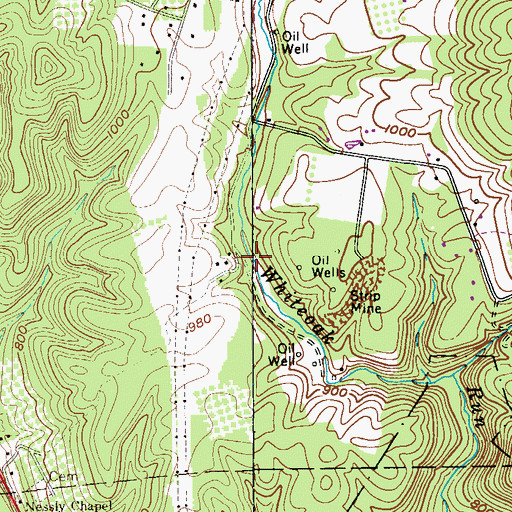 Topographic Map of Whiteoak Run, WV