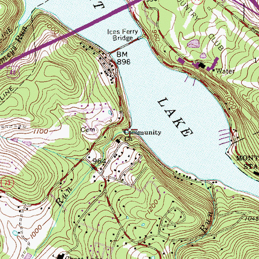 Topographic Map of Whites Run, WV