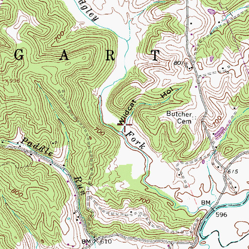 Topographic Map of Wildcat Hollow, WV