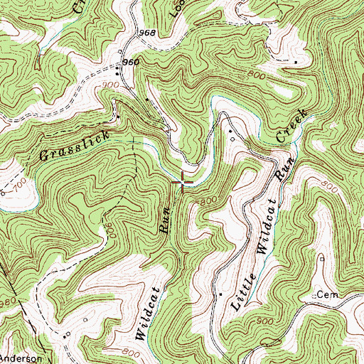 Topographic Map of Wildcat Run, WV