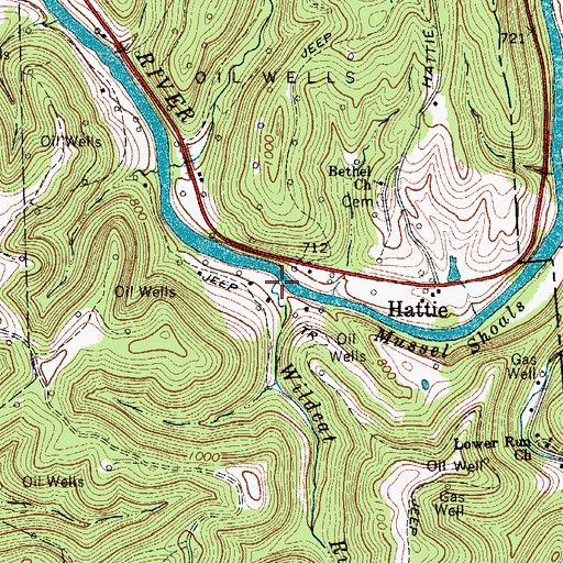 Topographic Map of Wildcat Run, WV