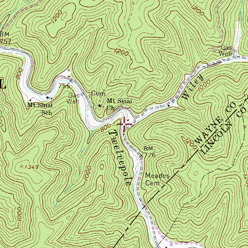 Topographic Map of Wiley Branch, WV
