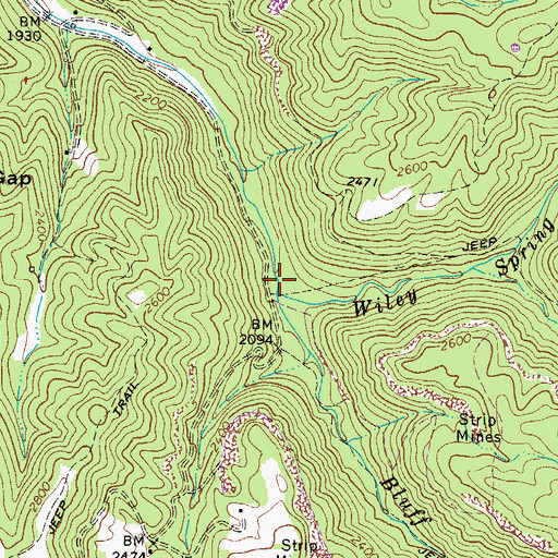 Topographic Map of Wiley Spring Branch, WV